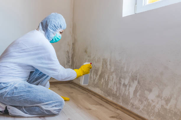 Licensed Mold Cleanup service in Pope Army Airfield, NC - WQB Mold Removal