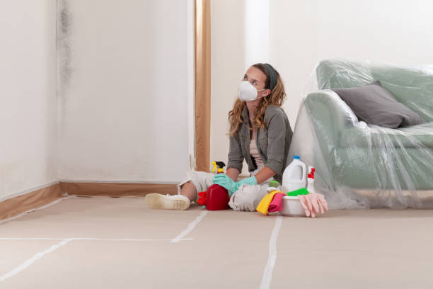 Reliable Mold Cleanup contractor in Pope Army Airfield, NC by WQB Mold Removal